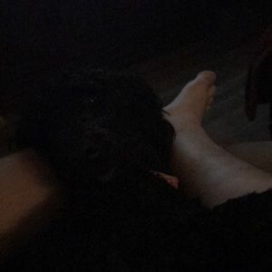 Meet your Posher, Dadavid